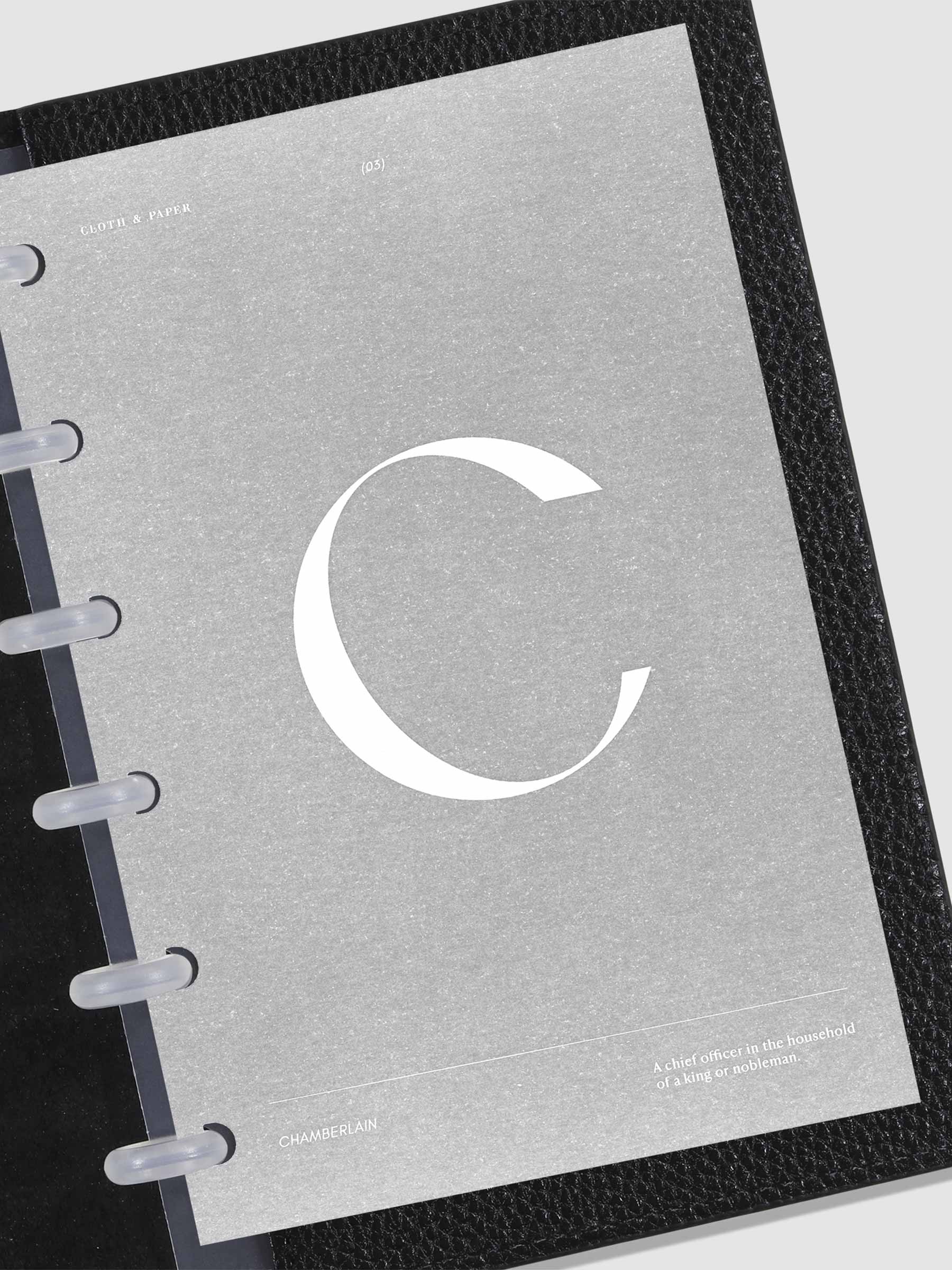 Monogram Vellum Planner Dashboard C in use in a leather planner.