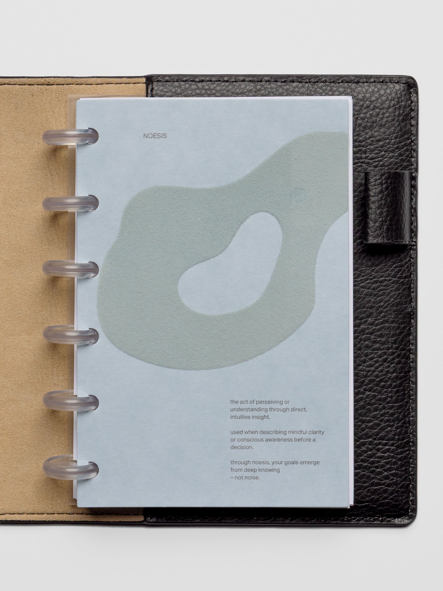 Noesis Planner Dashboard in CP Petite size shown discbound in leather folio.