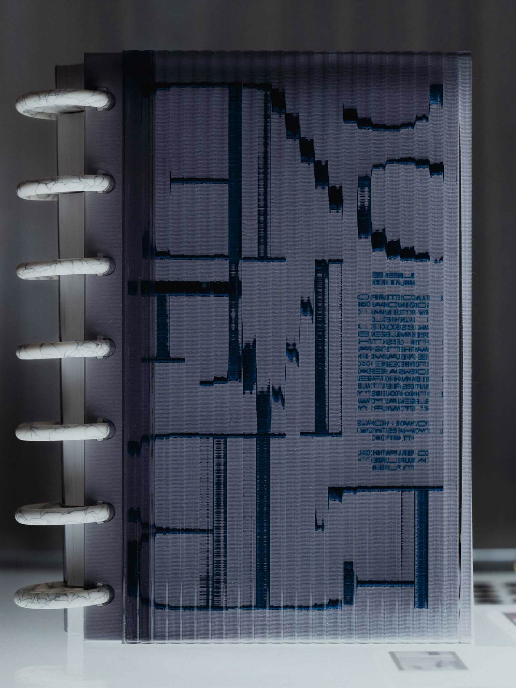 Planner discs shown in use inside a discbound planner setup. 