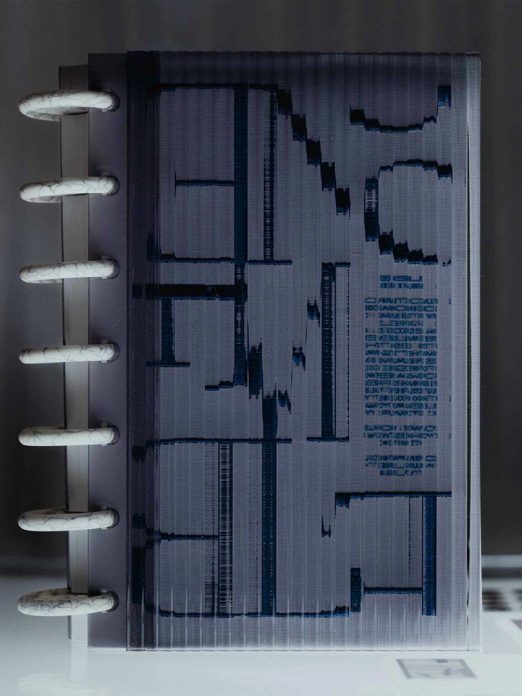 Planner discs shown in use inside a discbound planner setup. 