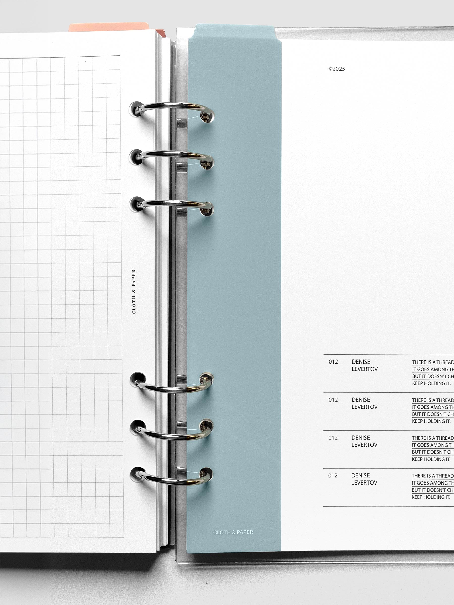 Light blue narrow page marker in a ringbound planner.