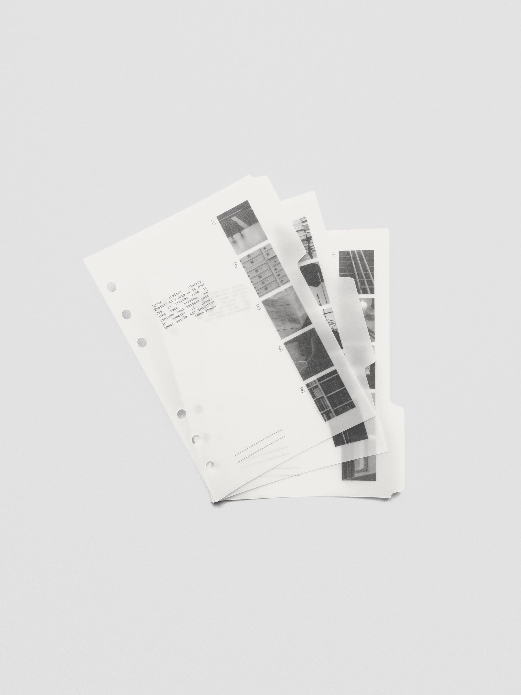 Personal Wide Editorial Vellum Dividers Vol. 2 displayed flat on a neutral background.