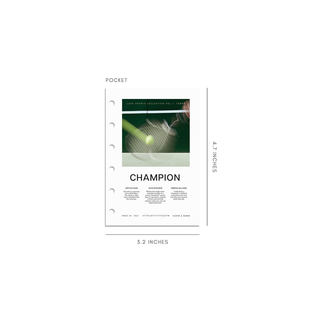 Digital mockup of Champion dashboard in Pocket. 