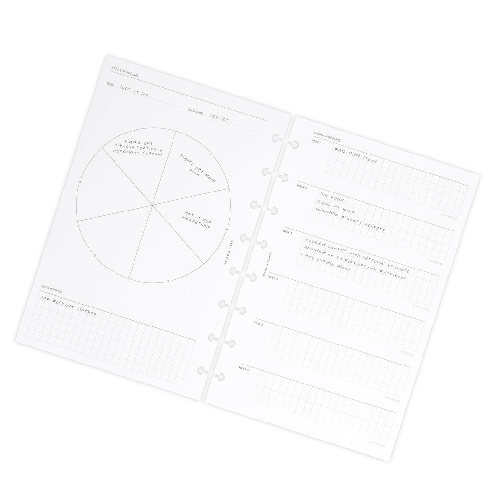 Insert spread on a white background. Spread shown is the goal mapping section.